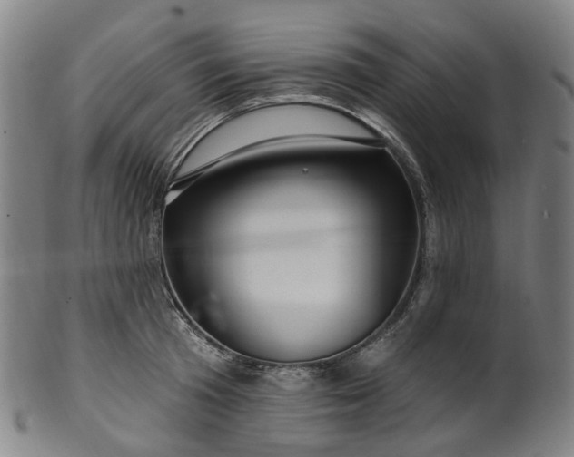 X0000099960801200806061604