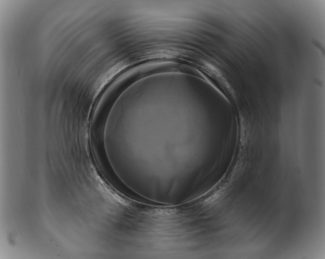 X0000099960802200806061604