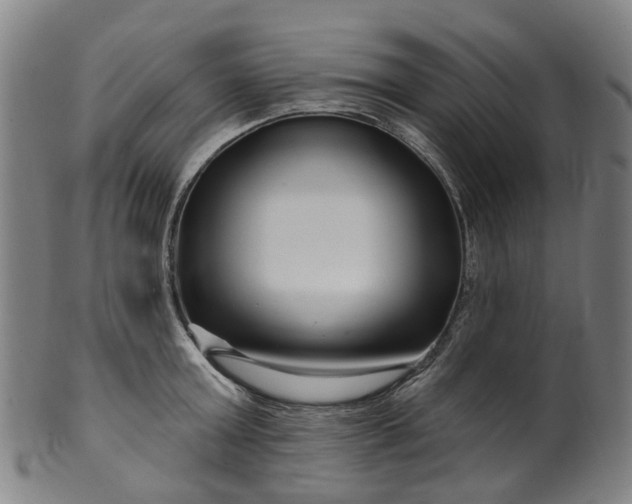 X0000099960803200806061604