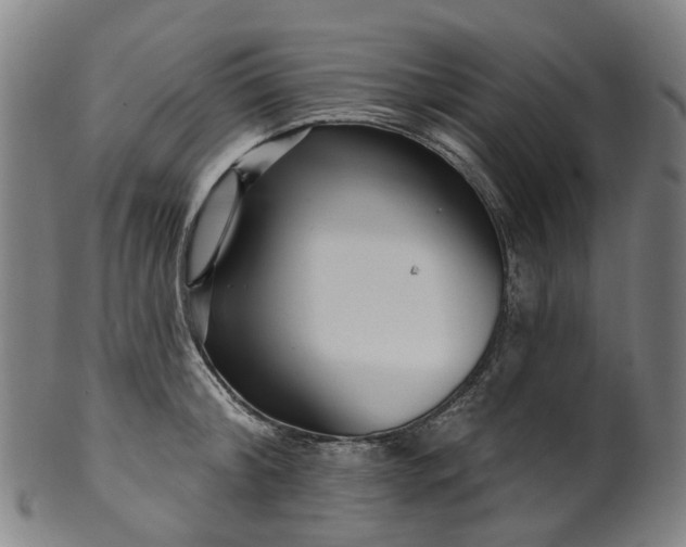 X0000099960804200806061604