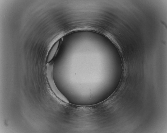 X0000099960805200806061604
