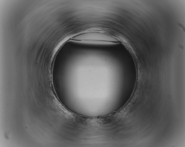 X0000099960808200806061604