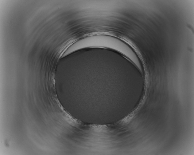 X0000099960809200806061604