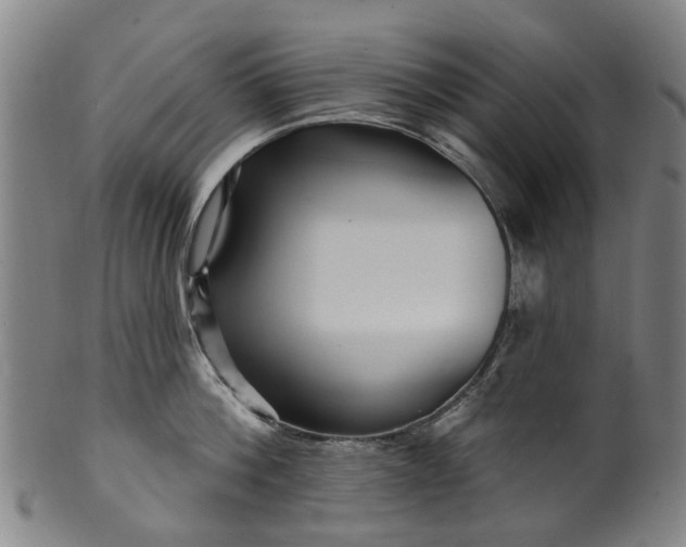 X0000099960812200806061604