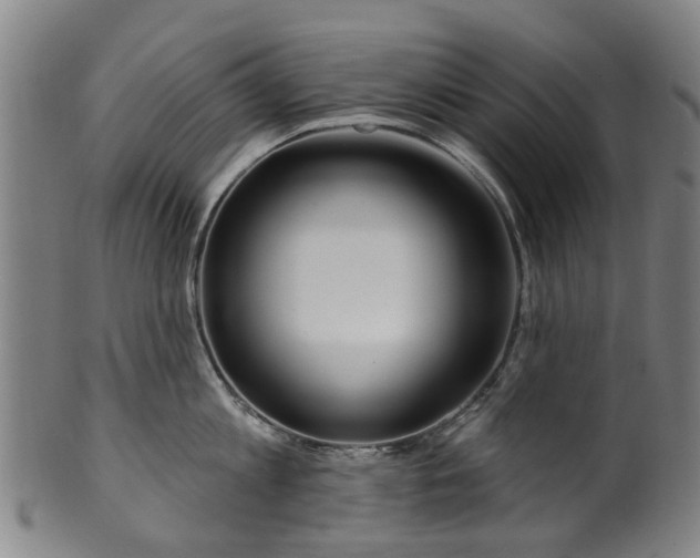 X0000099960813200806061604