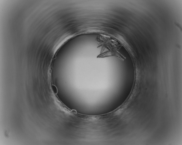 X0000099960814200806061604