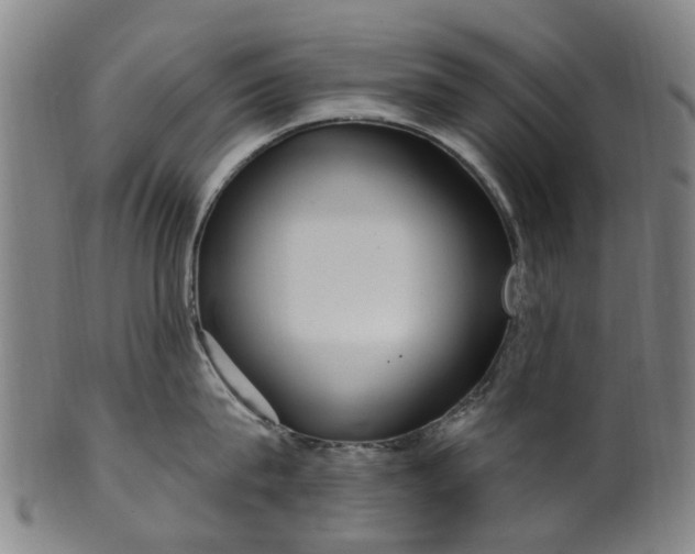 X0000099960815200806061604
