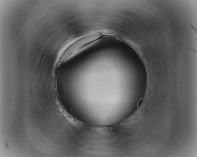 X0000099960816200806061604