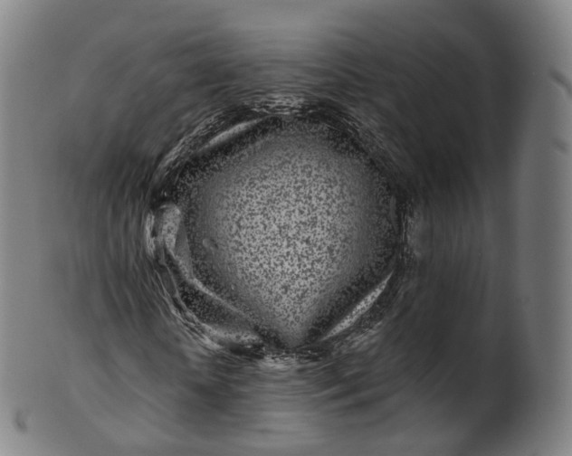X0000099960818200806061603