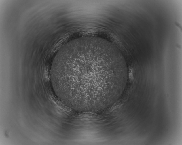 X0000099960819200806061603