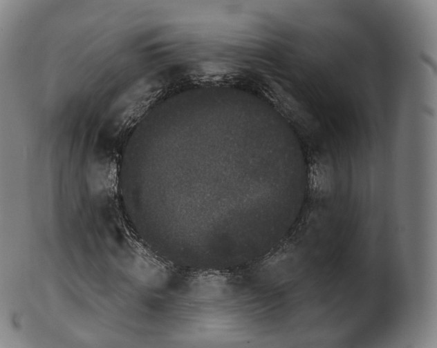 X0000099960820200806061603