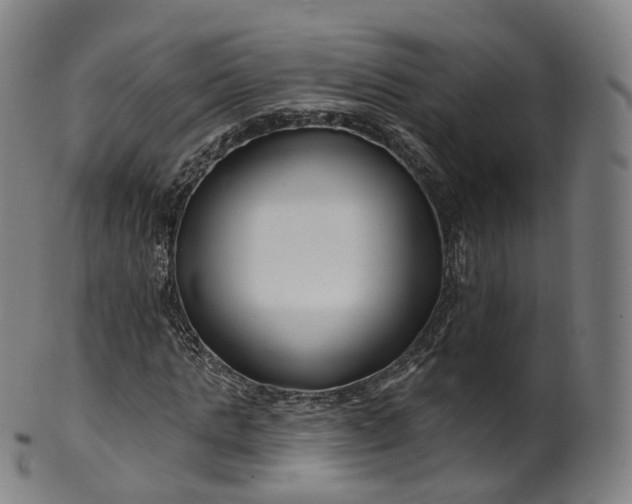 X0000099960821200806061603