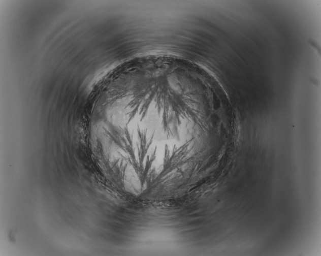 X0000099960823200806061603