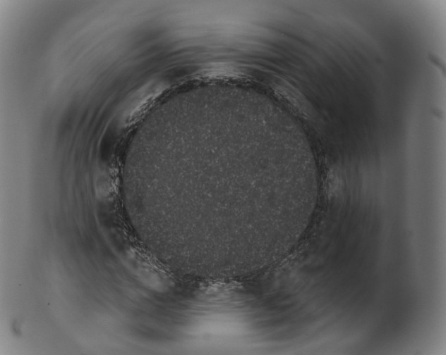 X0000099960824200806061603