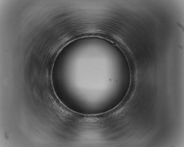 X0000099960825200806061604