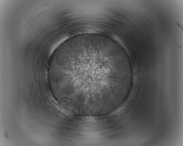 X0000099960827200806061604