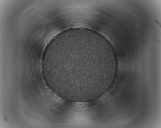X0000099960832200806061604