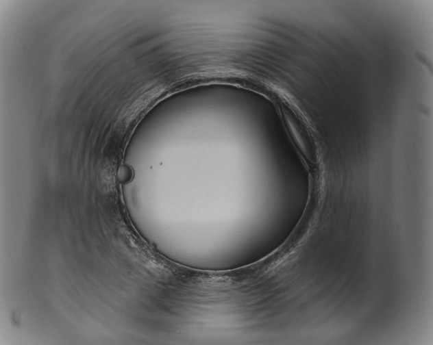 X0000099960833200806061604