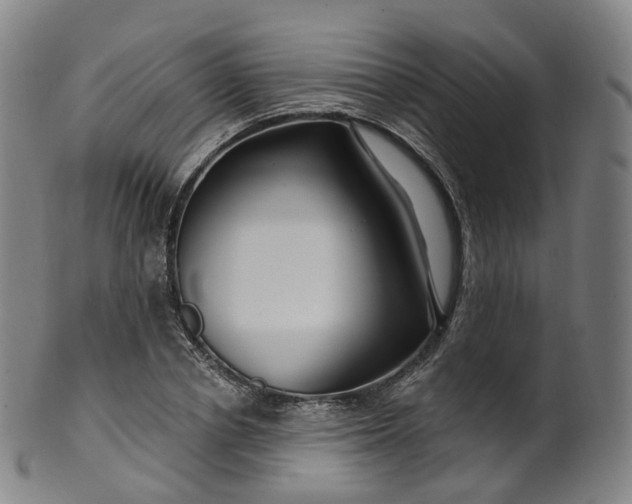 X0000099960834200806061604