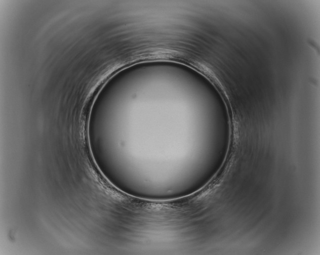 X0000099960835200806061604