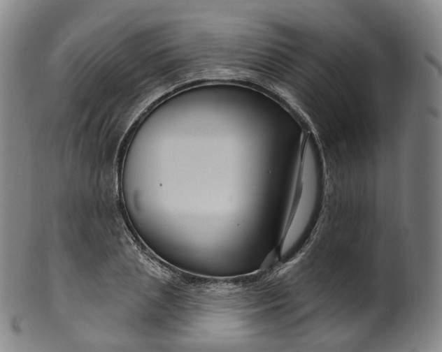 X0000099960837200806061604
