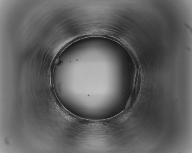 X0000099960838200806061604
