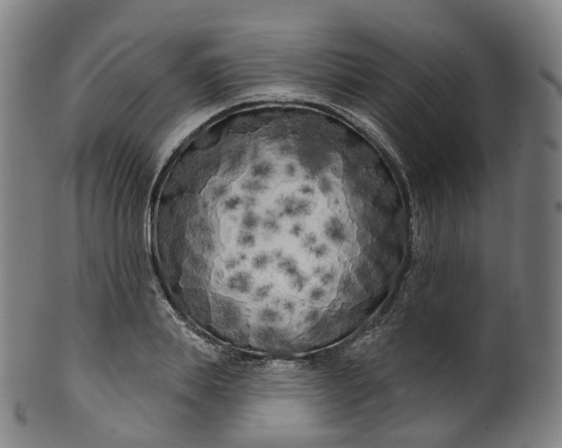 X0000099960839200806061604