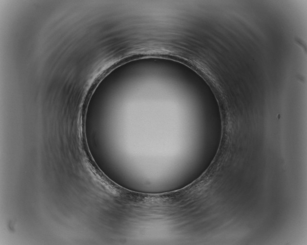 X0000099960840200806061604
