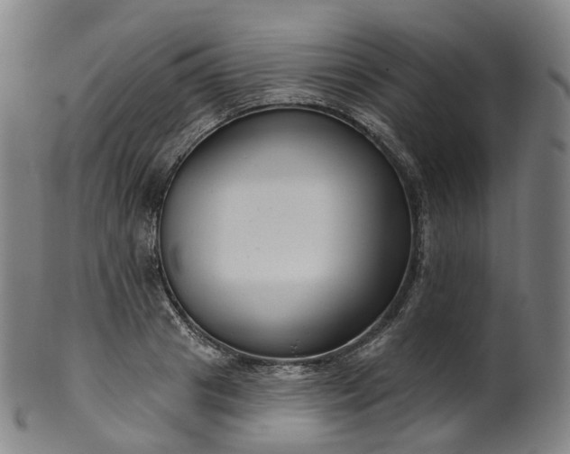 X0000099960841200806061604