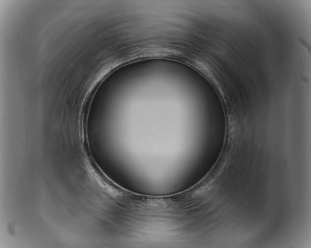 X0000099960843200806061604