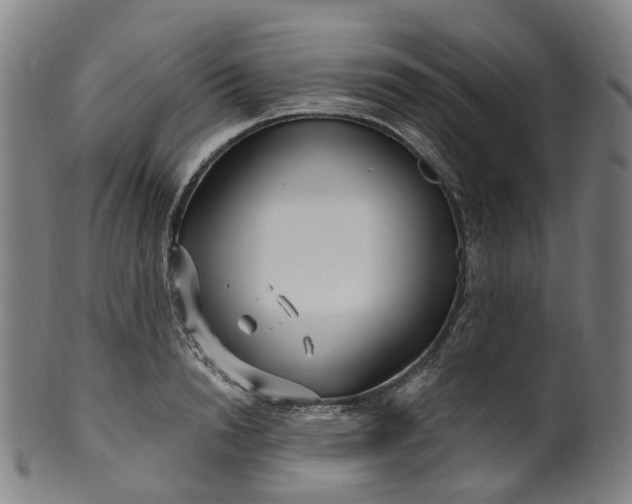 X0000099960846200806061604
