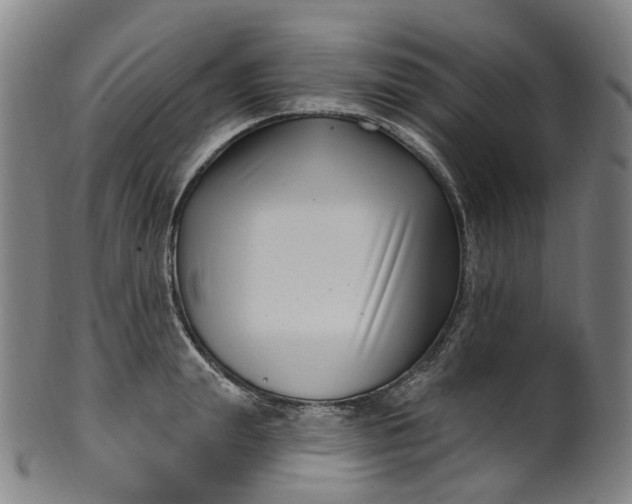 X0000099960847200806061604