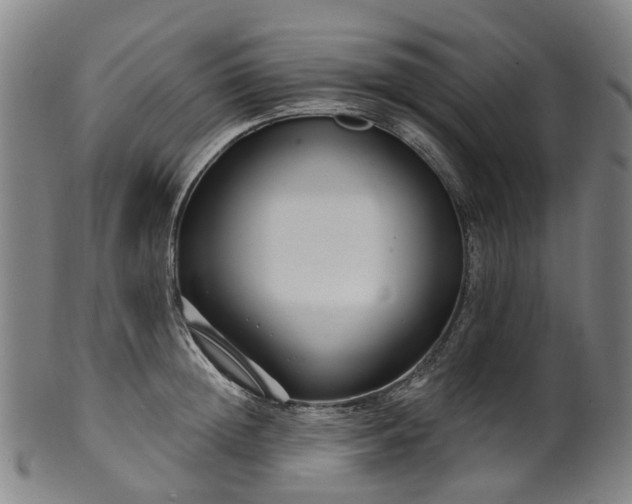X0000099960852200806061604