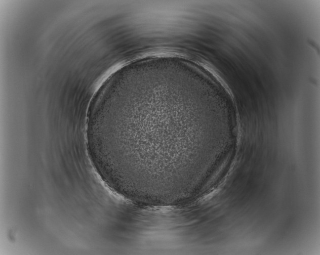 X0000099960853200806061604