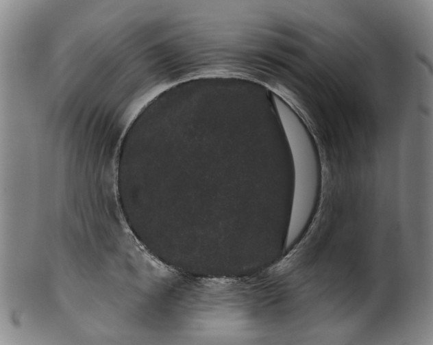 X0000099960854200806061604