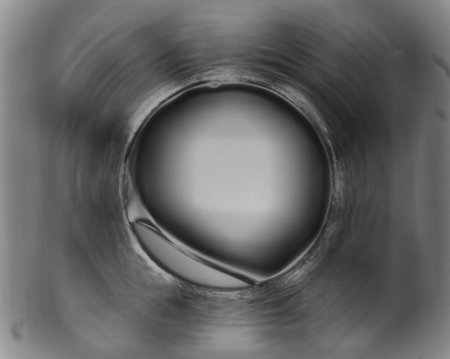 X0000099960855200806061604