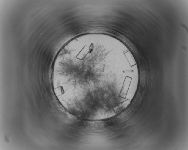 X0000099960856200806061604