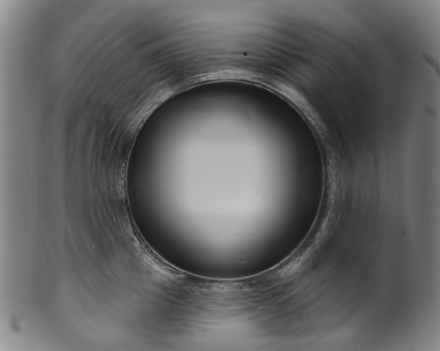 X0000099960857200806061604