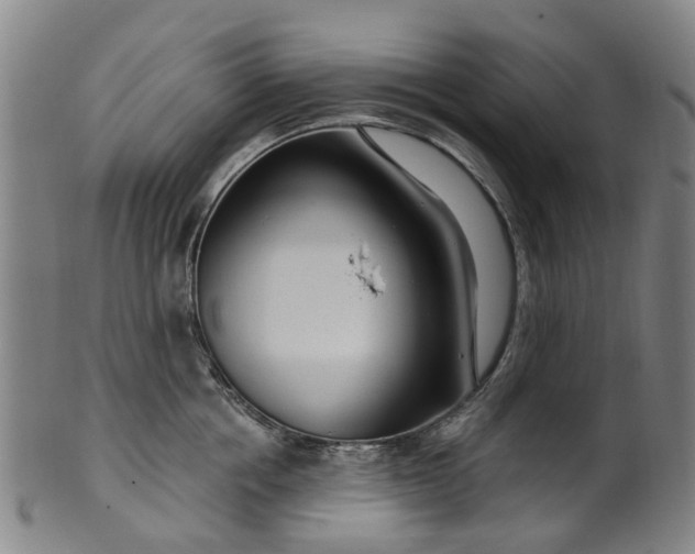 X0000099960858200806061604