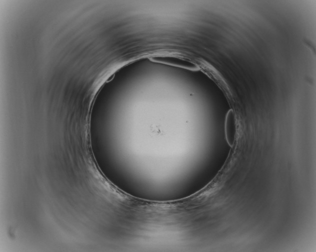 X0000099960860200806061604