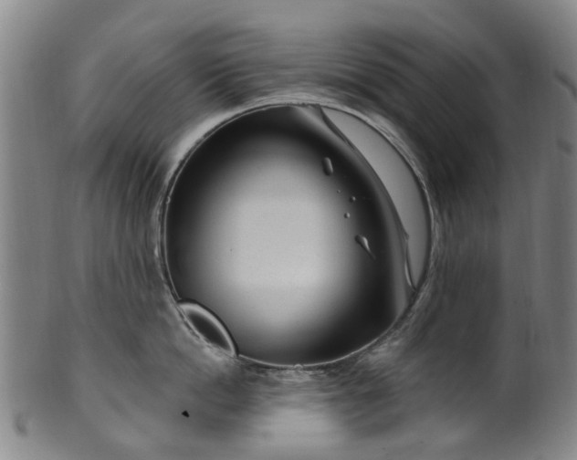 X0000099960862200806061604