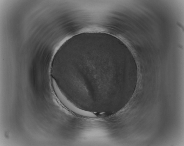 X0000099960864200806061604