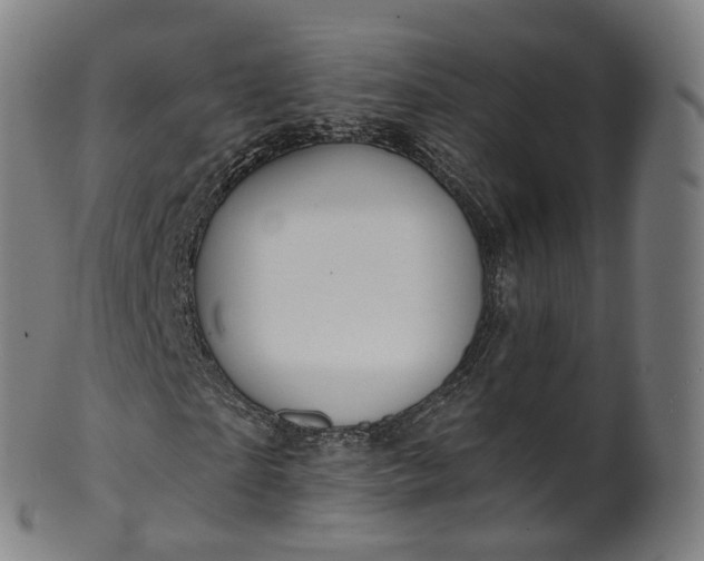 X0000099960865200806061603