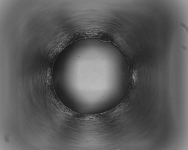 X0000099960867200806061603