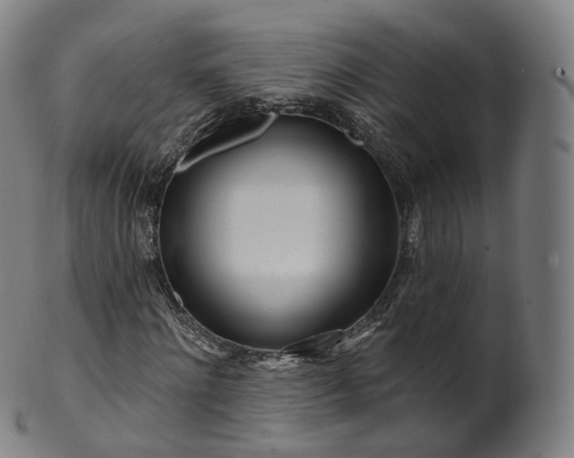 X0000099960868200806061603
