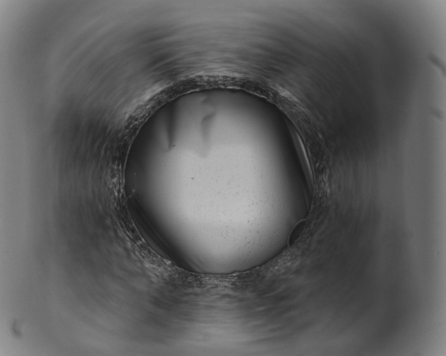 X0000099960870200806061603