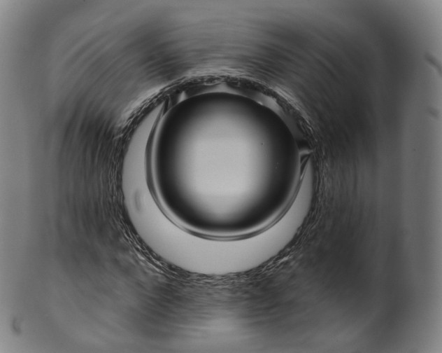 X0000099960872200806061603