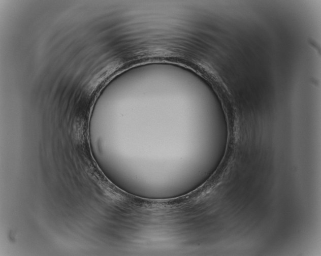 X0000099960873200806061603
