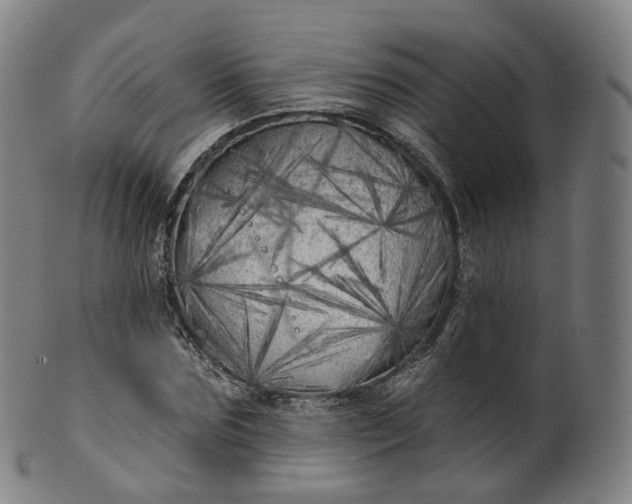 X0000099960875200806061603
