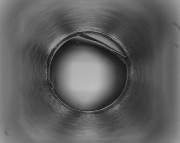 X0000099960877200806061603